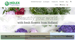 Desktop Screenshot of holex.com