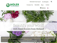 Tablet Screenshot of holex.com
